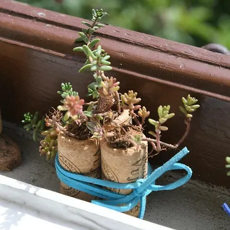 With Beautiful Sea View